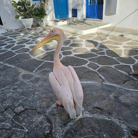 شقة Lalaland Mykonos Town المظهر الخارجي الصورة